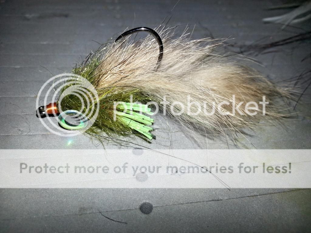 20141014_220101.jpg