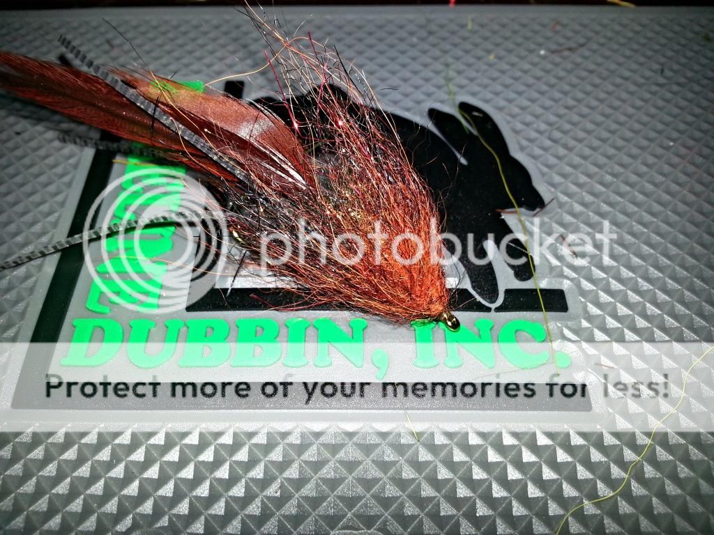 20141216_220712.jpg