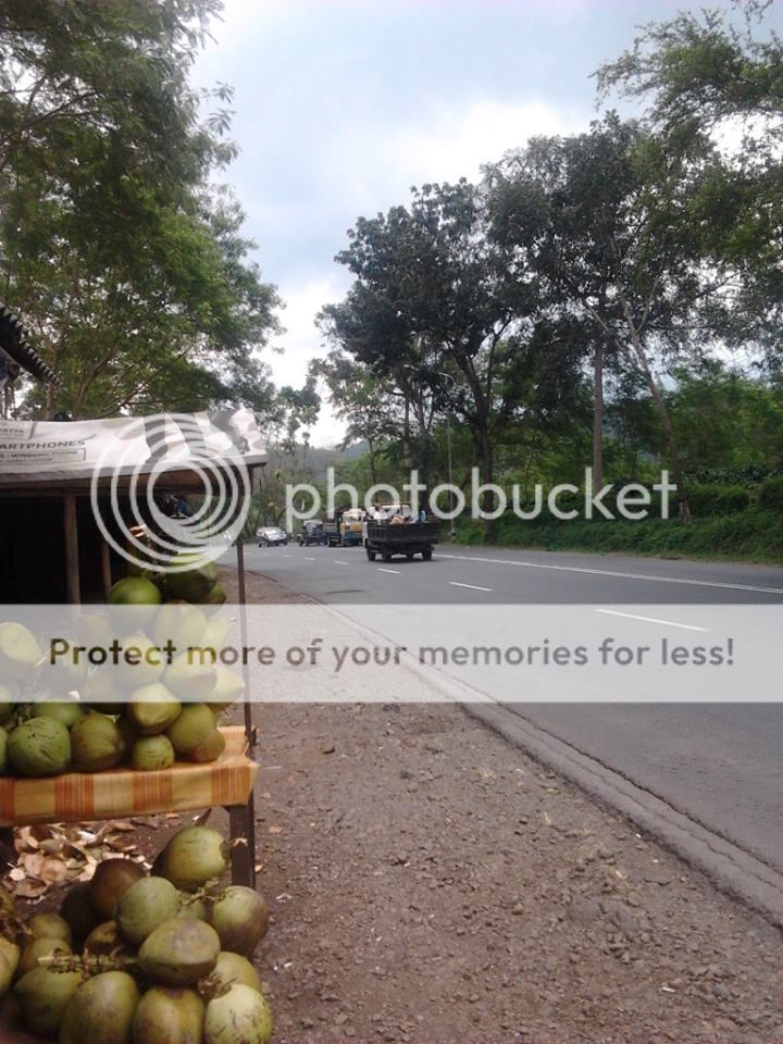 degan2 photo degan1.jpg