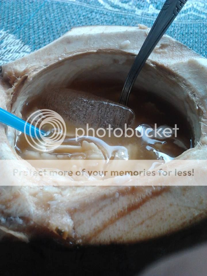 degan3 photo degan2.jpg