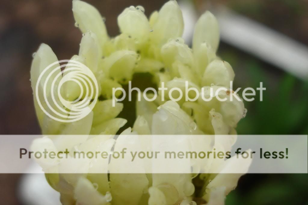  photo 15FILEminimizer.jpg