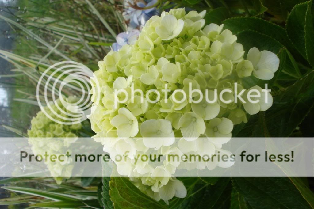  photo 16bFILEminimizer.jpg