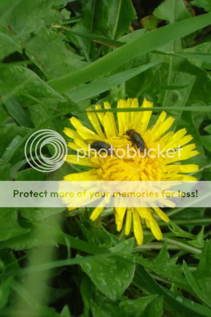  photo 17cFILEminimizer.jpg