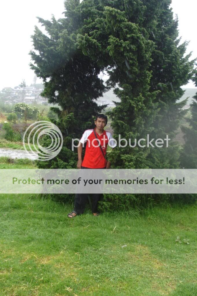  photo 19FILEminimizer.jpg