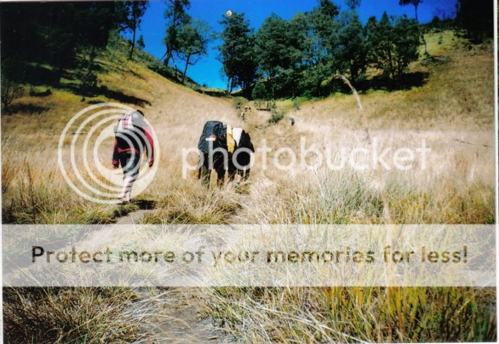  photo 18aFILEminimizer.jpg