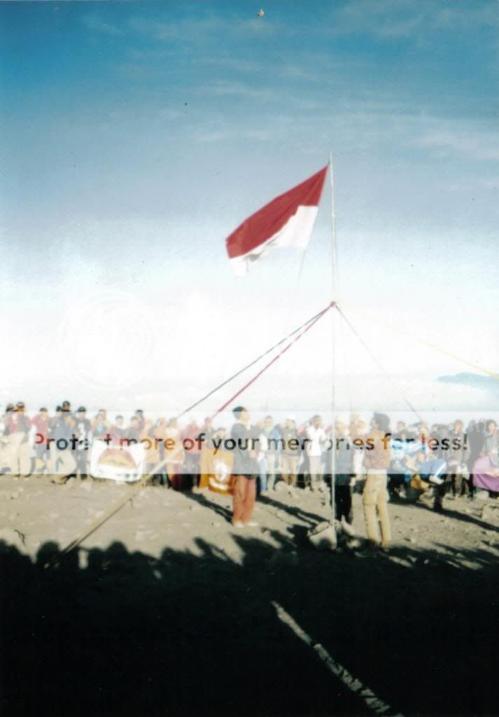  photo 29FILEminimizer.jpg