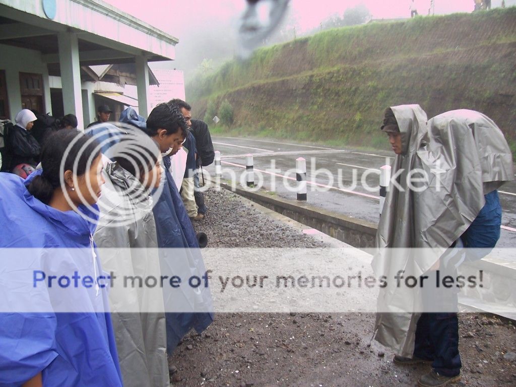  photo 100_6962FILEminimizer.jpg