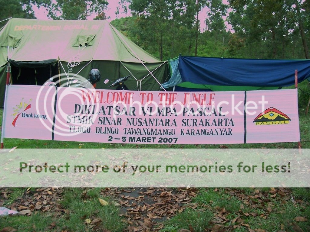  photo 100_7009FILEminimizer.jpg