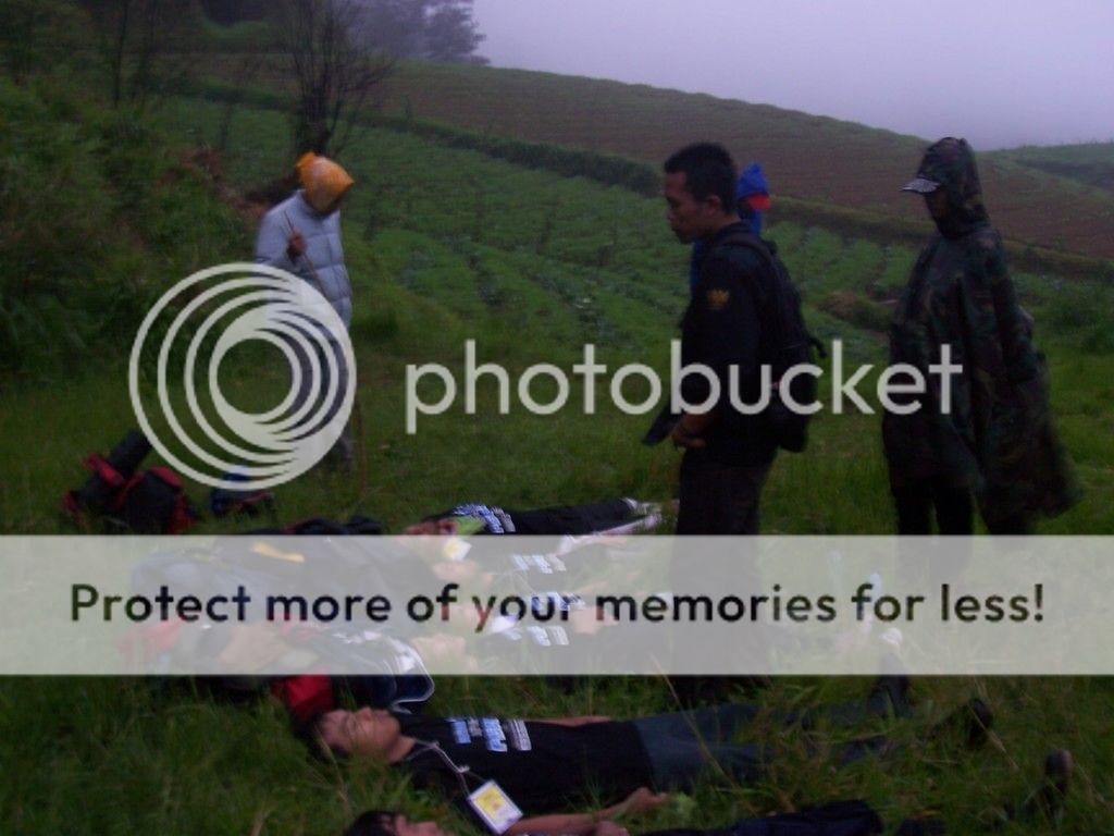  photo 100_7015FILEminimizer.jpg