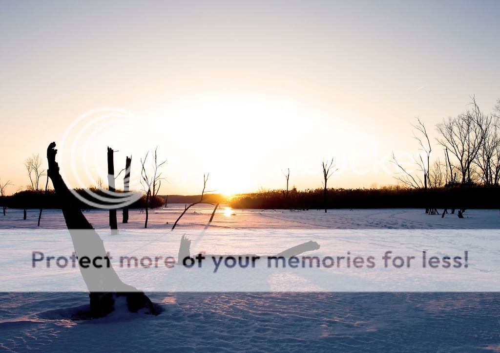 IMAGE: http://i548.photobucket.com/albums/ii346/ckort66/Banner%20Marsh/IMG_4837_edited-1.jpg