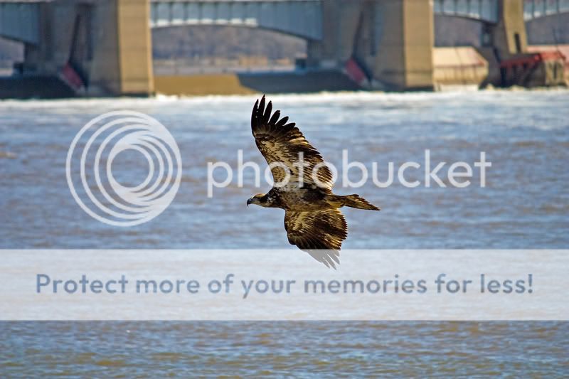 IMAGE: http://i548.photobucket.com/albums/ii346/ckort66/IMG_2767_edited-1.jpg