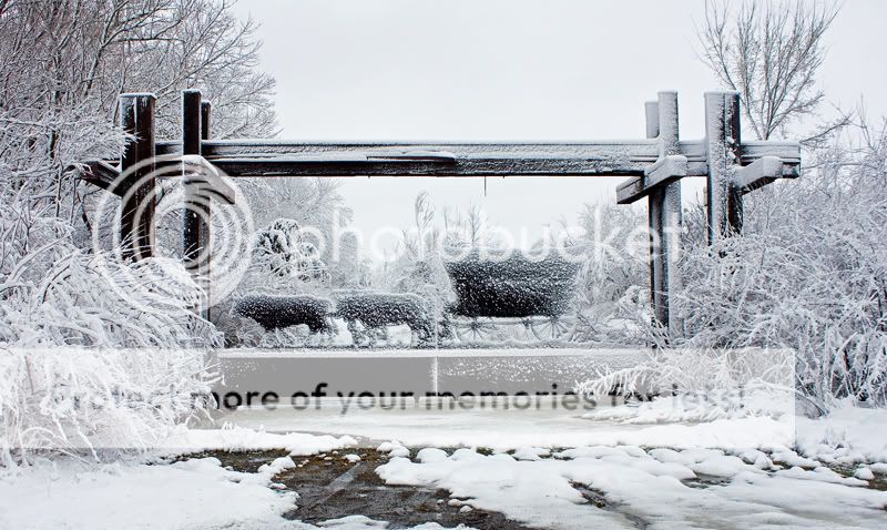 IMAGE: http://i548.photobucket.com/albums/ii346/ckort66/IMG_3531_edited-1.jpg