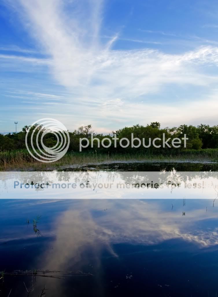 IMAGE: http://i548.photobucket.com/albums/ii346/ckort66/IMG_9013_edited-1-1.jpg