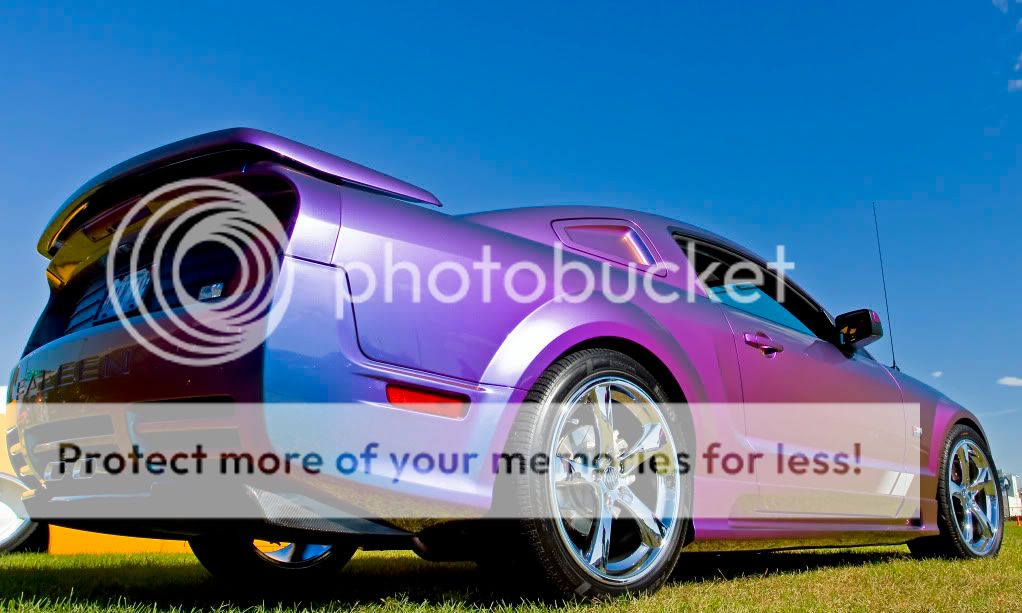 IMAGE: http://i548.photobucket.com/albums/ii346/ckort66/IMG_9235_edited-1.jpg