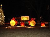 DSC00632A.jpg NELA Park lights at night image by RogerRhoads
